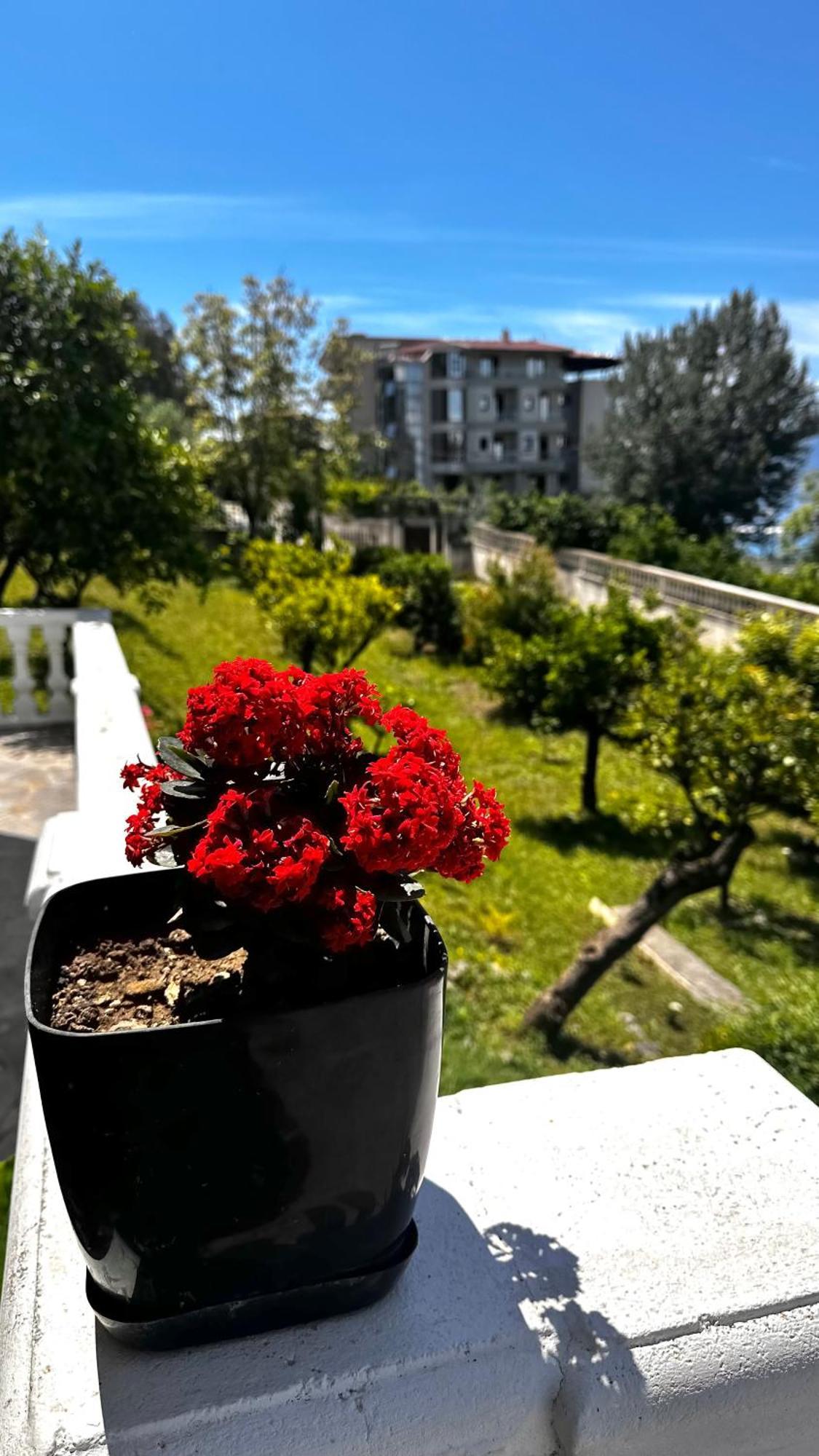 Villa Mare - For Families & Groups Vlorë Εξωτερικό φωτογραφία